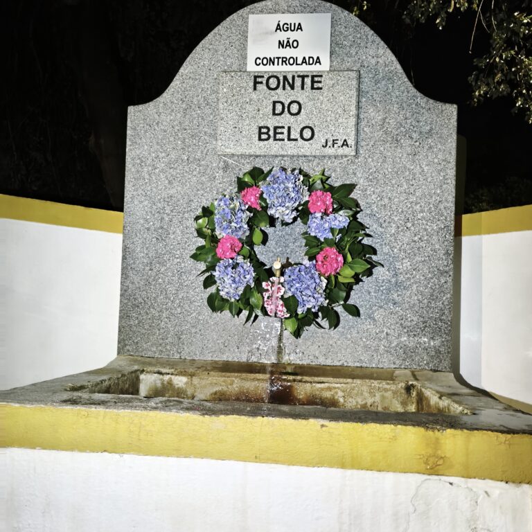 Tradição e Comunidade Marcam o Sucesso da Decoração das Fontes de Alegrete no São João